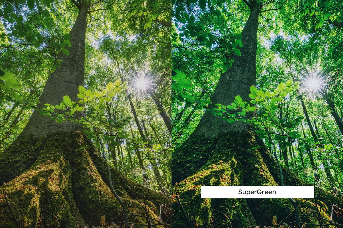20 Moss Lightroom Presets & LUTs, a Preset Add-On by Hubzway (Photo 8 of 9)