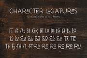 Cuciniere Font + 40 Icons (Handmade), a Font by Hederae Type Foundry (Thumbnail 4 of 9)