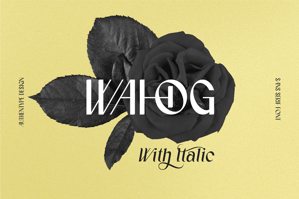 Wahog - Sans Serif With Nice Italic, a Sans Serif Font by AuthenType (Photo 1 of 15)
