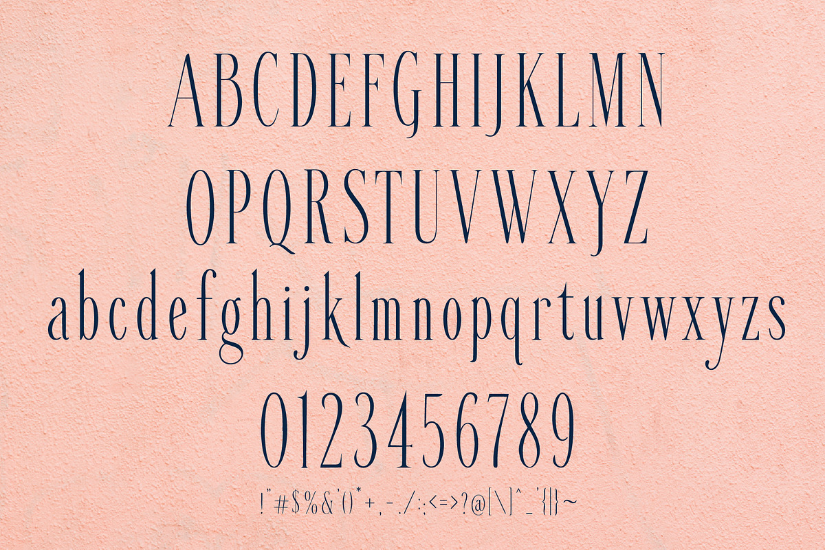 VESSAIRE - Elegant Tall Serif, a Serif Font by HypeWorksCo (Photo 18 of 18)