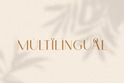 Monica - Classic & Elegant Sans, a Sans Serif Font by Mikhail Fukurou (Thumbnail 12 of 12)