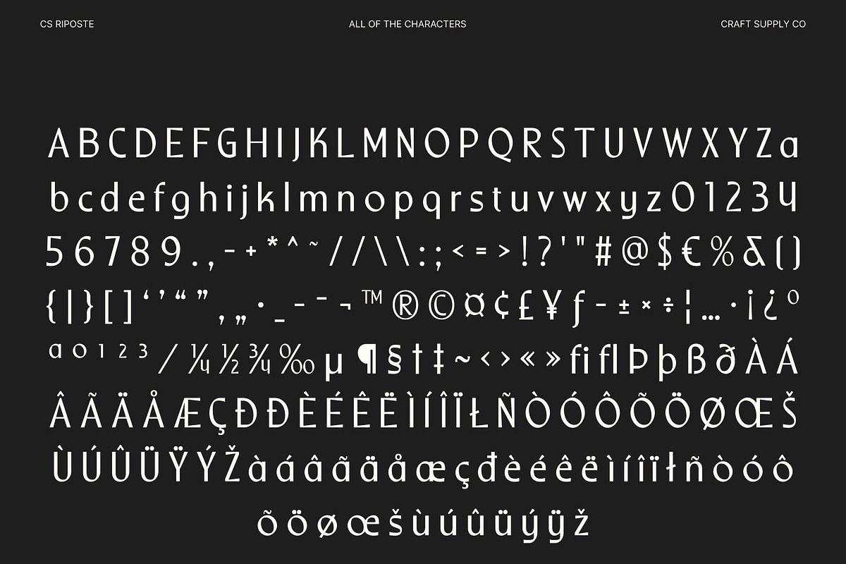 CS Riposte – Modern Sans Serif, a Sans Serif Font by Craft Supply Co. (Photo 8 of 8)