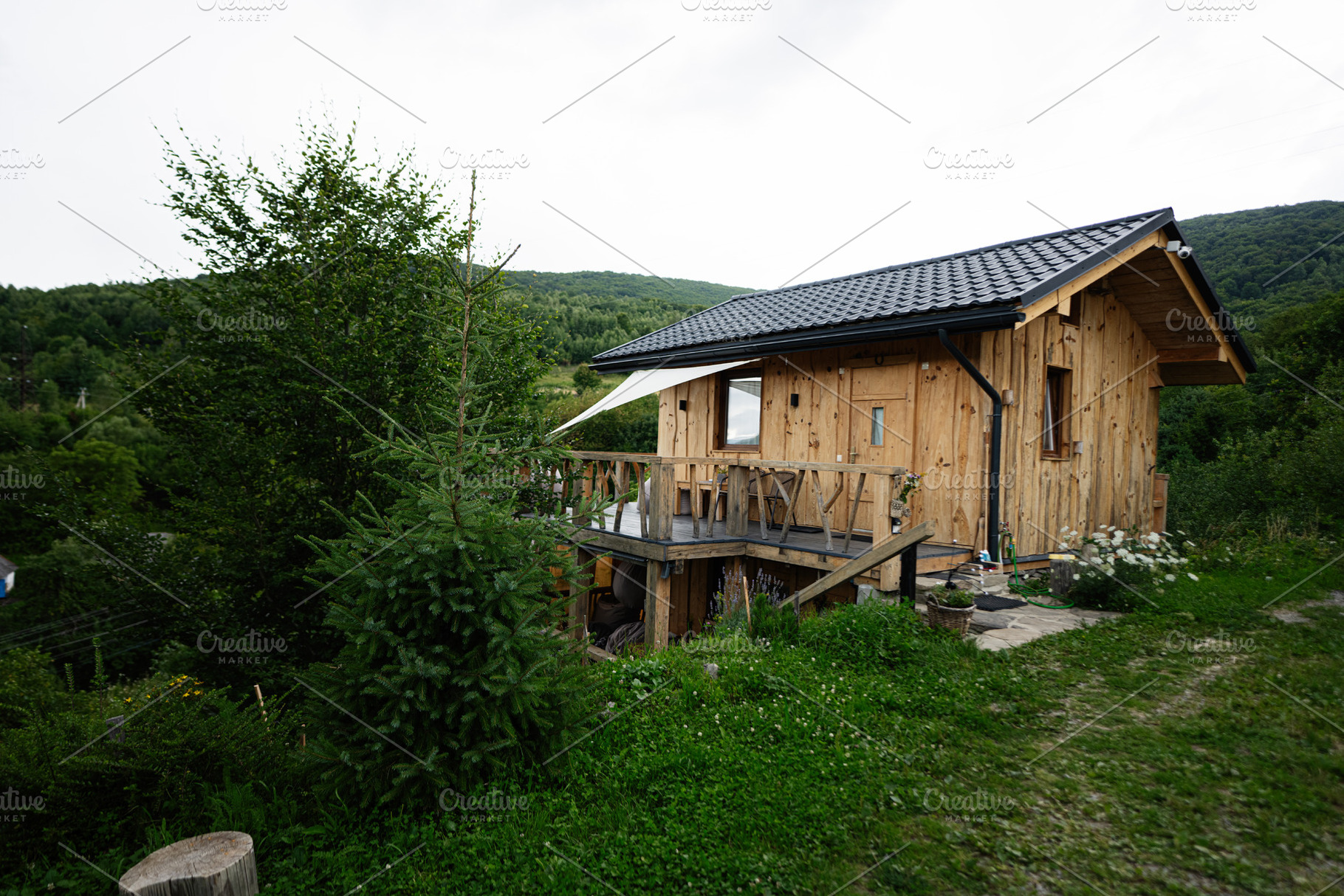 Charming wooden cabin surrounded by lush greenery in a serene forested environm, a Photo by AS photostudio
