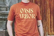 Noresa Modern Editorial Serif, a Serif Font by timelesstype.co (Thumbnail 11 of 20)