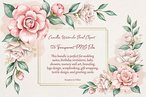 Camellia Watercolor Floral Clipart