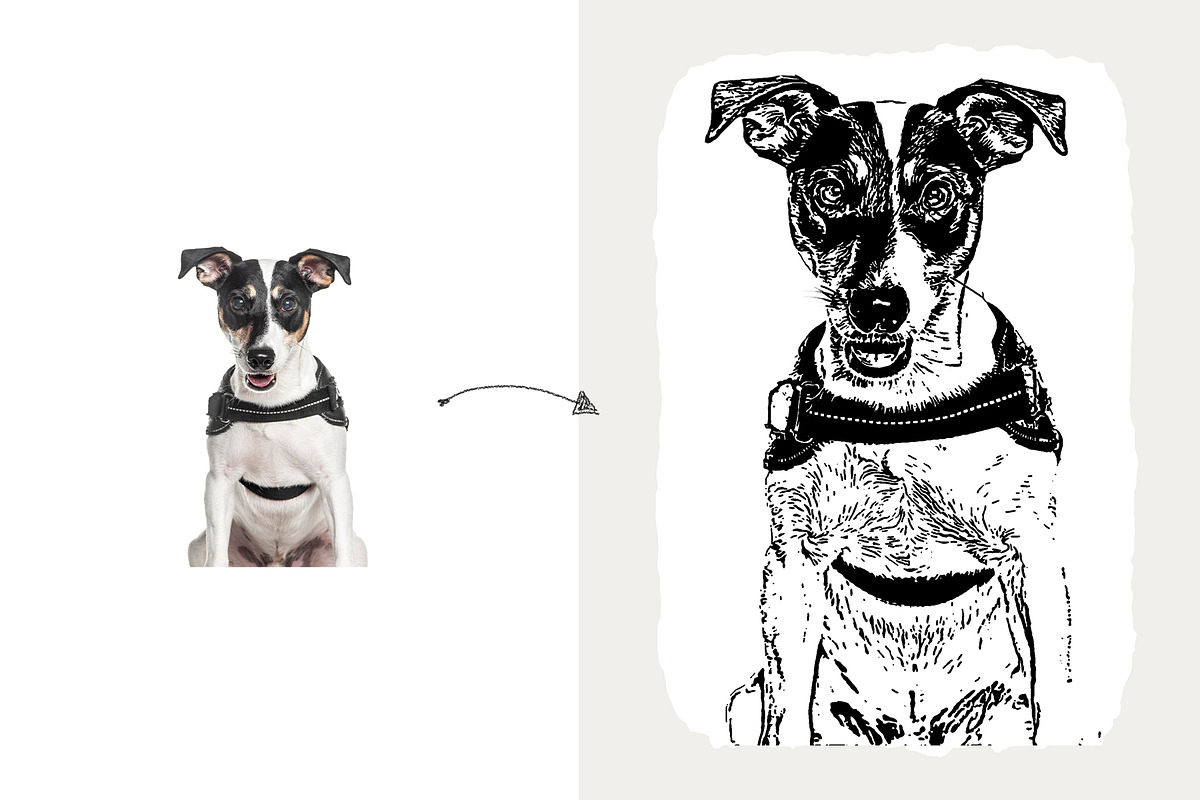 Pet Vector Trace Photoshop Effect, an Action Add-On by Shovajit (Photo 3 of 9)