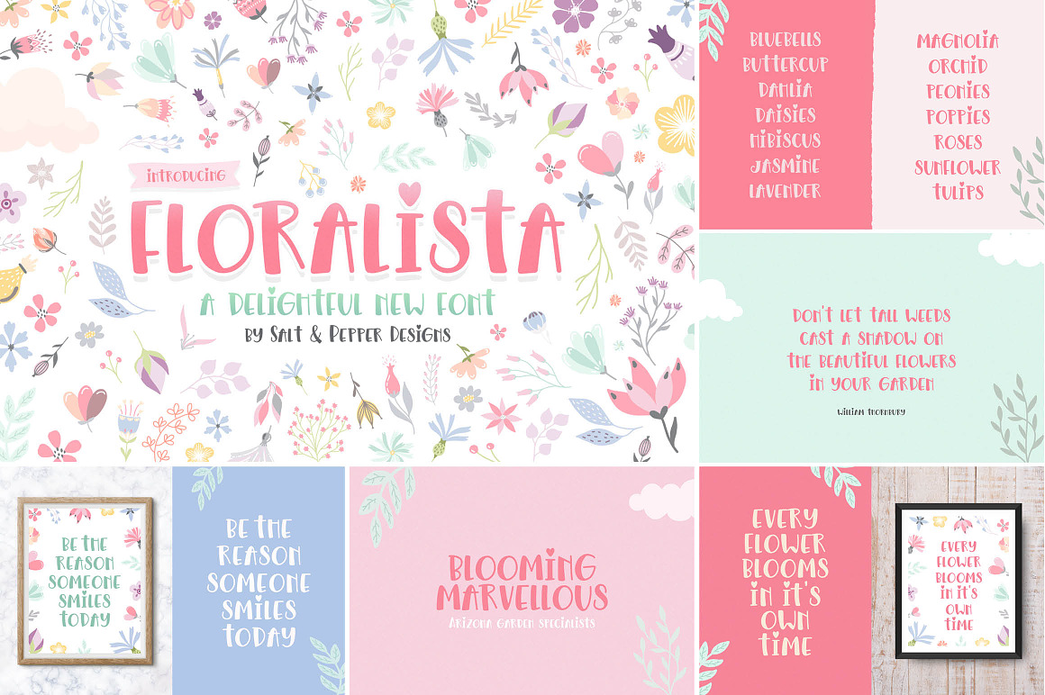 The HUGE Font Bundle (98% OFF) SALE, a Sans Serif Font by Salt & Pepper Designs (Photo 153 of 185)