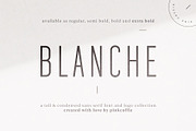 Blanche | Modern Sans Serif + Logos, a Sans Serif Font by Pink Coffie (Thumbnail 8 of 11)