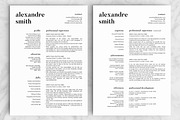 Resume/CV - The Smith, a Resume Template by CreativeLandStudio (Thumbnail 4 of 7)