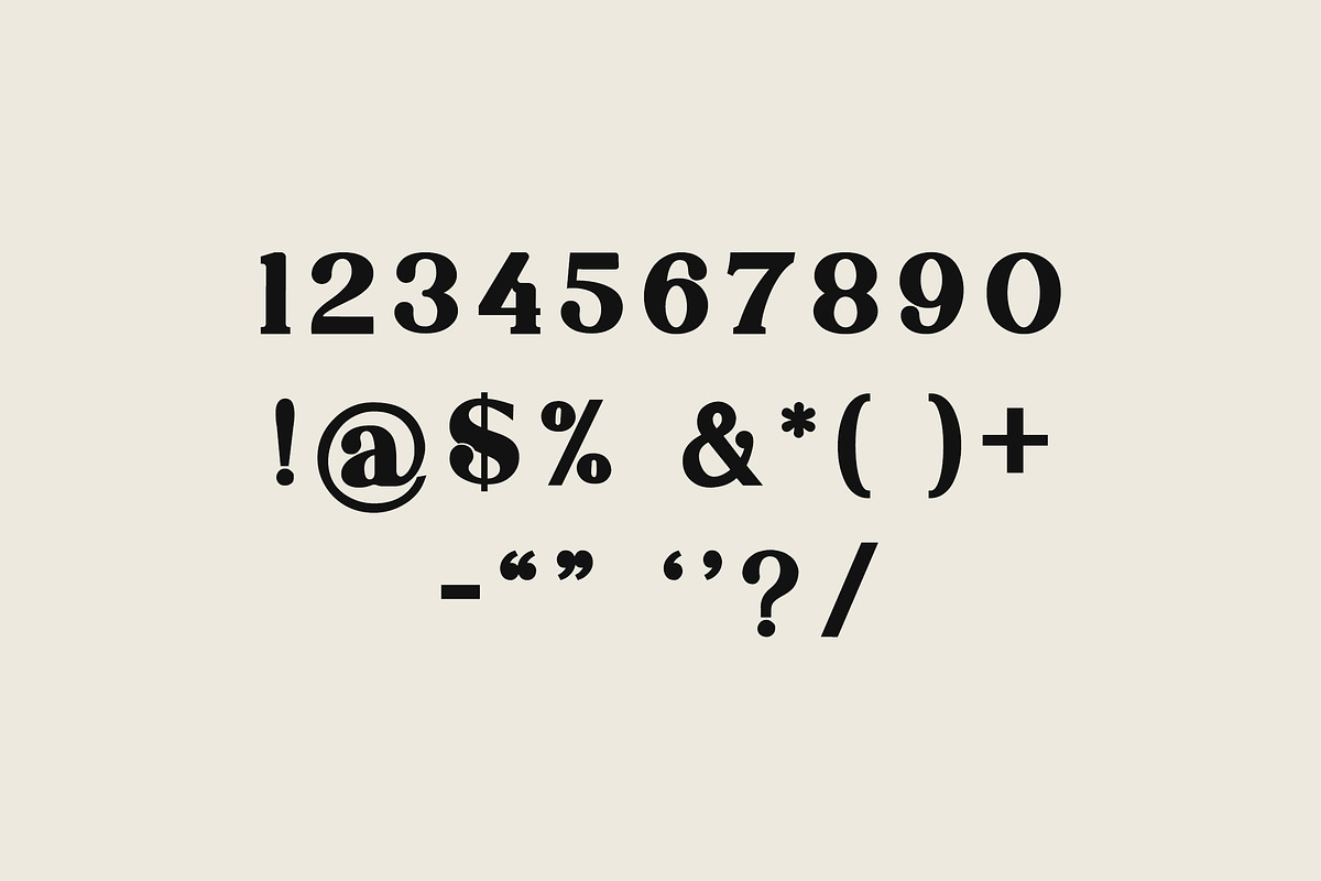 Danilo Catalina Classic Serif Font, a Serif Font by UICreative (Photo 11 of 11)