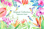 Watercolor Tropical Collection, an Illustration by Corner Croft (Thumbnail 2 of 6)