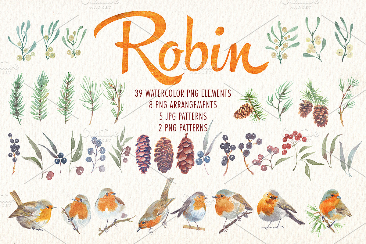 watercolor robin bird clipart, an Illustration by Art & Things (Photo 10 of 10)
