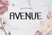 Avenue Summer Font, a Script Font by DmDesignsStoreArt (Thumbnail 1 of 2)
