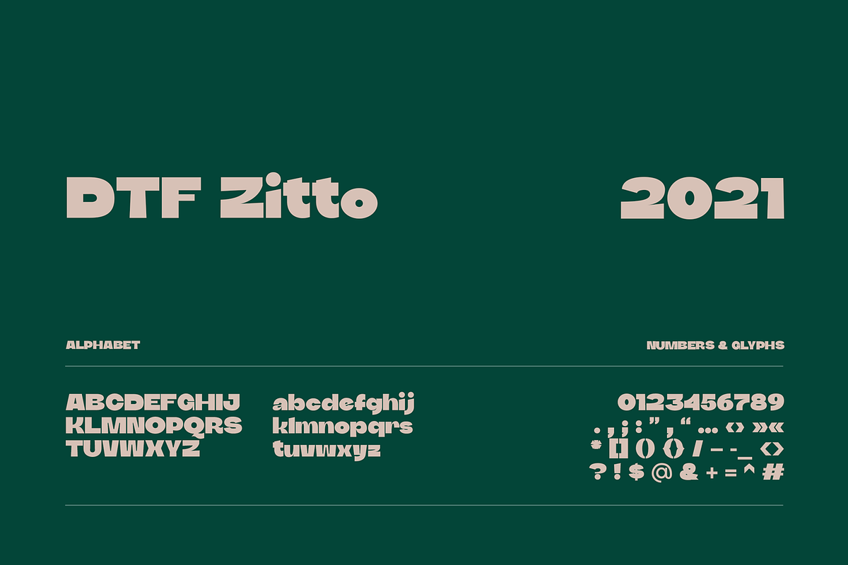 DTF Zitto, a Sans Serif Font by vladderkach57 (Photo 2 of 4)