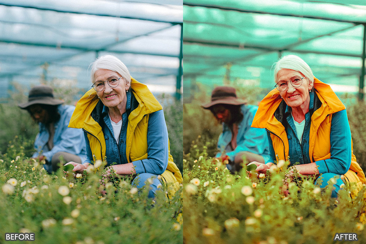 Steal Film Cinematic LR Presets, a Preset Add-On by AAA Presets (Photo 3 of 22)