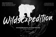 Amorim Santos Solid Hand Drawn Brush, a Handwritten Font by gracetype_studio (Thumbnail 3 of 12)