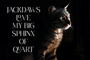 KINERA, a Serif Font by zamjumps (Thumbnail 4 of 11)