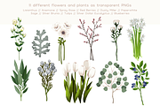 White Flowers, a Decorative Illustration by skrich (Thumbnail 2 of 8)