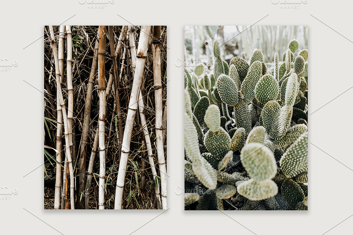 Lifestyle Bundles Collection 4, a Beauty & Fashion Photo by Floral Deco (Photo 10 of 66)