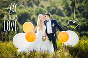 Happily Ever After Wedding Overlays, an Action Add-On by Uplift Actions (Thumbnail 2 of 8)