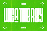 Wea Therby Futuristic Technology Y2k, a Sans Serif Font by dansdesign (Thumbnail 1 of 9)