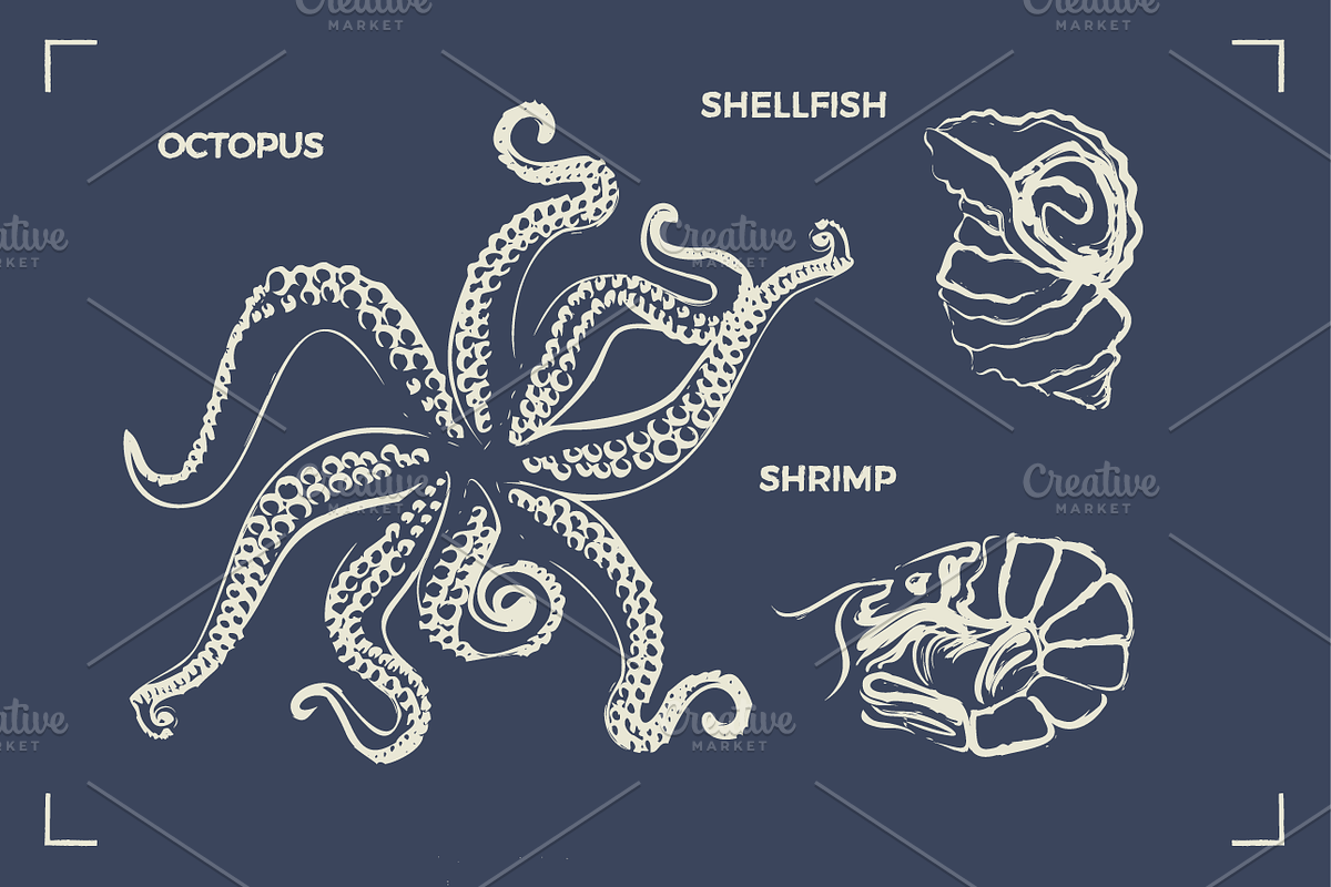 SEAFOOD (30+ illustrations), a Food Illustration by Bonfloret Studio (Photo 5 of 9)