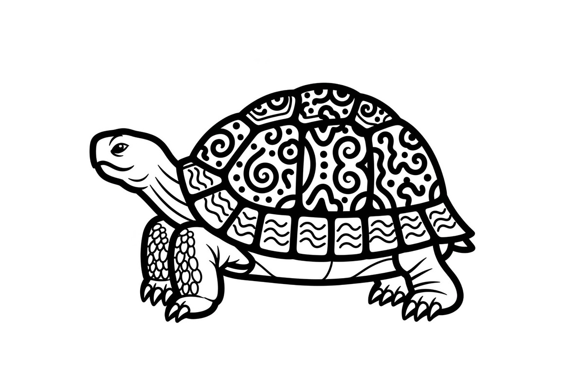 Turtle Line Art Illustration Bundle, an Illustration by Creativeshirt (Photo 22 of 48)
