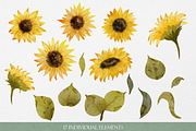 Sunflowers Watercolor Illustrations, an Object Graphic by Graphic Soul (Thumbnail 2 of 3)