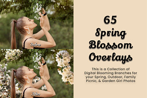 63 Spring Blossom Photo Overlays