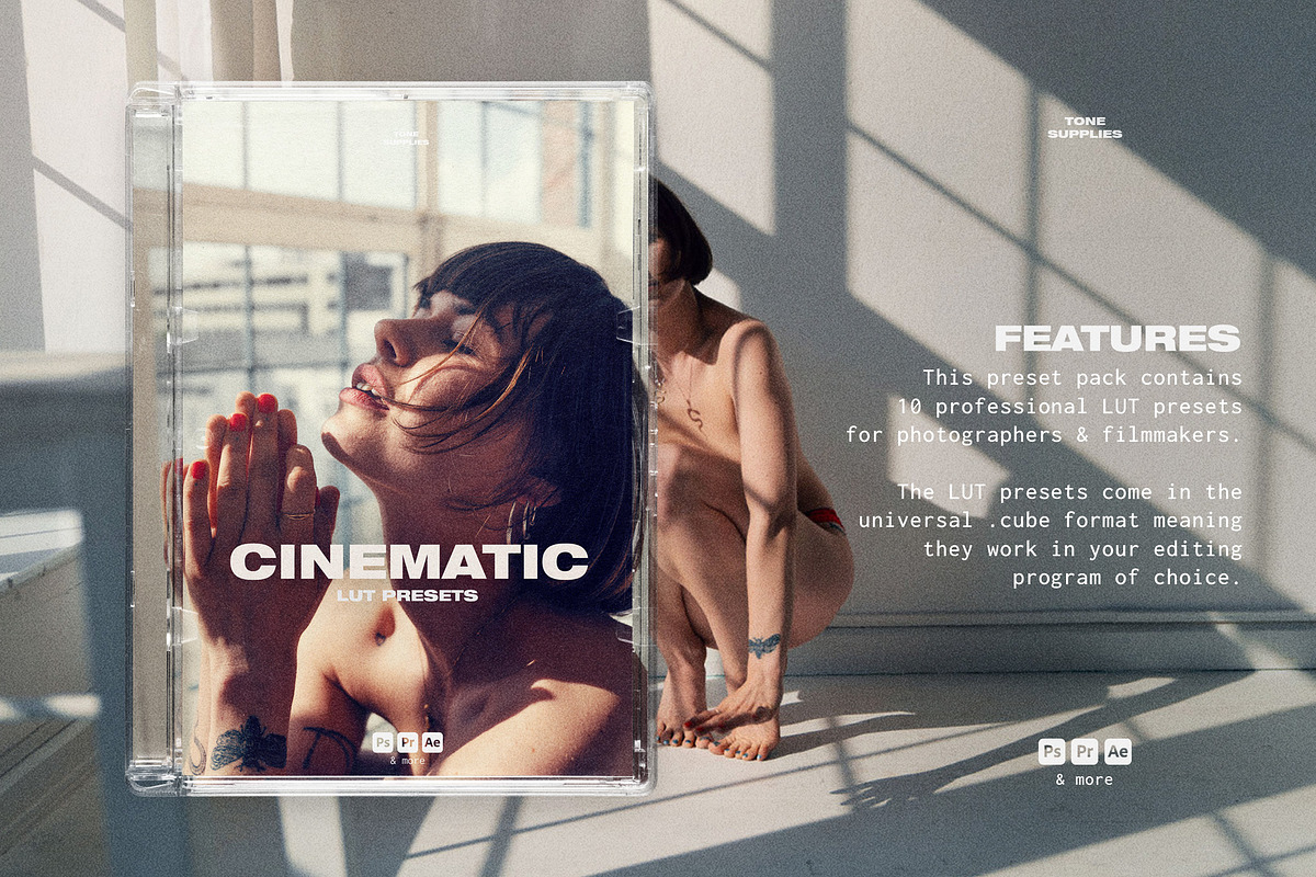 Cinematic Film LUT Presets Photoshop, a Preset Add-On by TONE SUPPLIES (Photo 2 of 10)