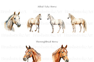 Racing Horse Clipart, Horse Breeds