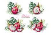 Dragon Fruit Watercolor. Pitahaya., a Decorative Illustration by VetaDesign (Thumbnail 3 of 8)