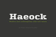 Haeock Family, a Slab Serif Font by vectalex (Thumbnail 1 of 6)