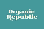 Magento Retro Display Serif Font, a Serif Font by Anomali Creatype (Thumbnail 4 of 12)