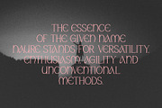 Naure - Serif Display, a Serif Font by takoliko (Thumbnail 2 of 11)