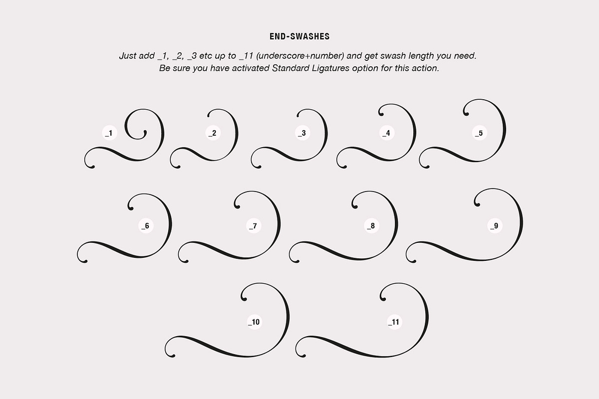 Rocksane Display, a Serif Font by Andrey Sharonov (Photo 7 of 18)