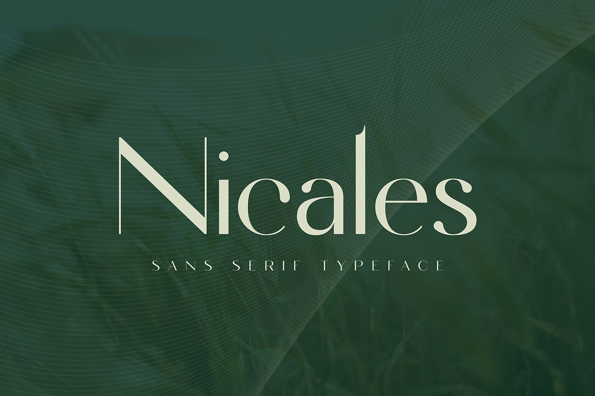 Nicales Typeface, a Sans Serif Font by Nowpe Studio (Photo 1 of 6)
