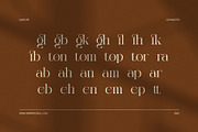 Siglera Elegant Serif Font, a Serif Font by Elegant Font (Thumbnail 8 of 8)