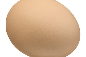 One whole brown chicken egg with textured matte shell, a Food & Drink Photo by ndanko