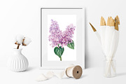 Garden Flowers hand drawn watercolor, a Decorative Illustration by Hanna Hryharenka (Thumbnail 2 of 16)