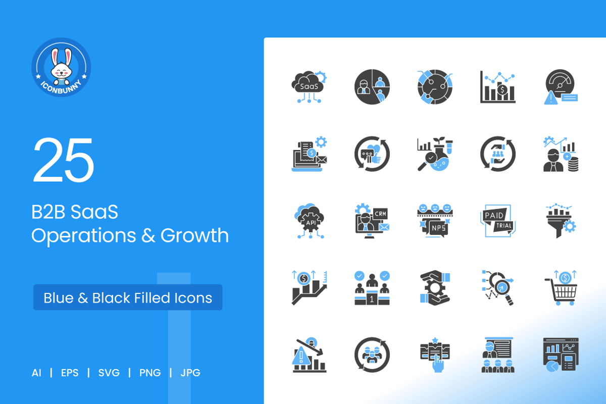 25 B2B SaaS Operations & Growth Icon, an Icon by IconBunny (Photo 1 of 2)