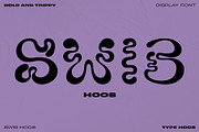 Swib Hoos - Display Font, a Handwritten Font by Type Hoos (Thumbnail 1 of 8)
