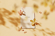 Card Mockup + Stationery Mockups, a Product Mockup by October November (Thumbnail 8 of 12)