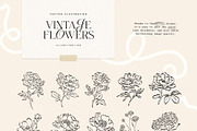 Vintage Botanica | Illustration Kit, an Object Illustration by KetteCreate (Thumbnail 7 of 13)