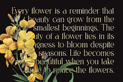 Miguen Elegant Serif Font, a Serif Font by Graphicxell (Thumbnail 5 of 8)