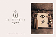 Organic Botanicals & Logo Designs, an Illustration by amber&ink (Thumbnail 12 of 17)