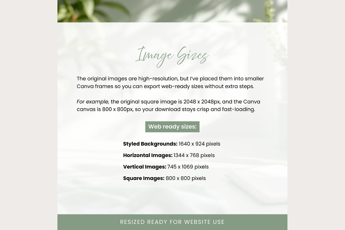 Sage Website Background Images Set, a Background Graphic by Hayley's Digital Hub (Photo 5 of 10)