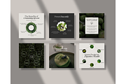 Nutrition Coach Template - Canva, a Social Media Template by TheTemplateTopia (Thumbnail 2 of 10)