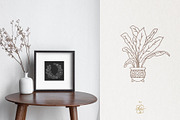 HOME PLANTS AND CACTI LINE ART, an Object Illustration by Kate Art (Thumbnail 6 of 10)