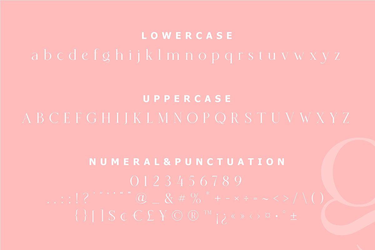 Histeagin Serif, a Serif Font by Yahya Type (Photo 22 of 25)